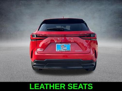 2024 Lexus NX 250 Premium