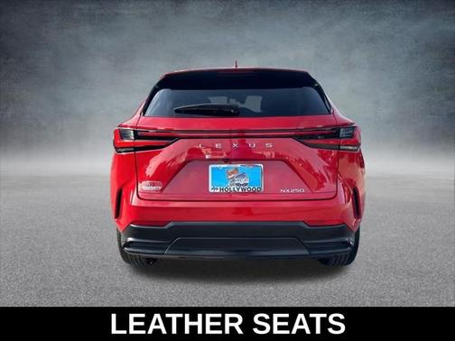 2024 Lexus NX 250 Premium