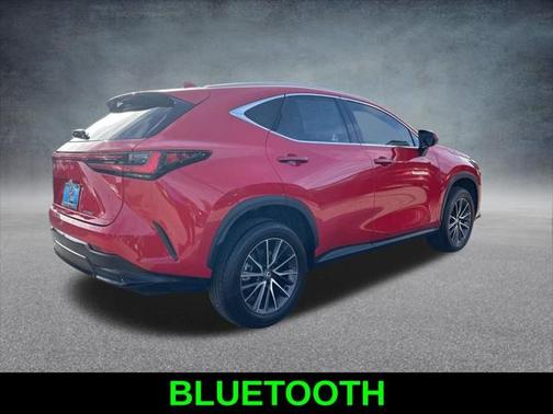 2024 Lexus NX 250 Premium