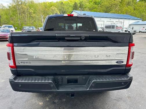 2022 Ford F-150 PLATINUM