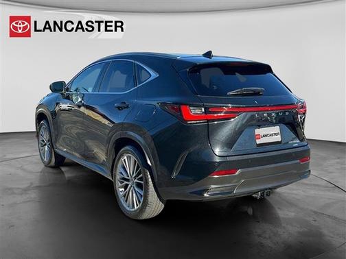 2024 Lexus NX 350h Luxury
