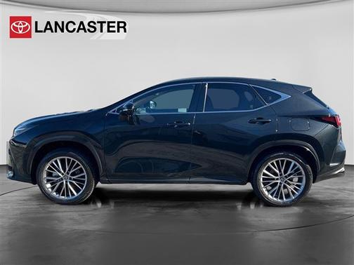 2024 Lexus NX 350h Luxury