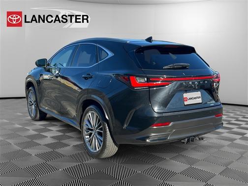 2024 Lexus NX 350h Luxury