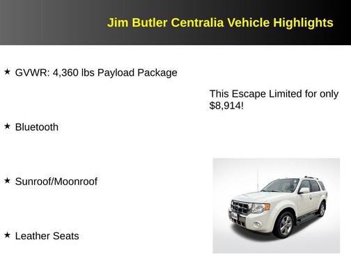 2009 Ford Escape Limited