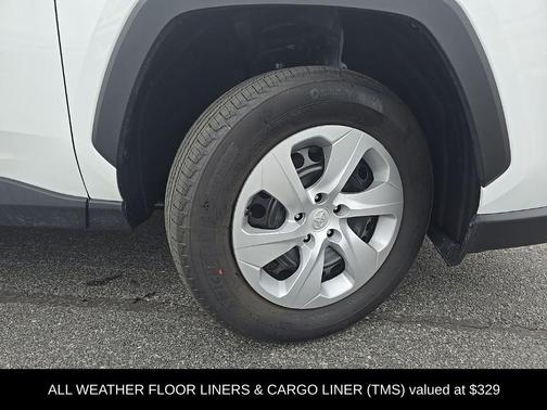 Ice 2025 Toyota RAV4 LE