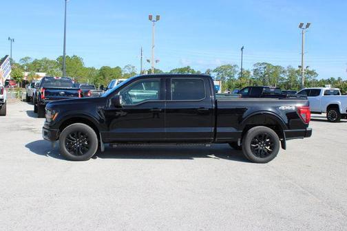 Agate Black Metallic 2025 Ford F-150 XLT