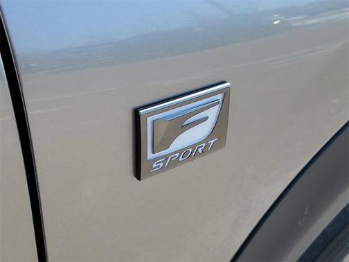 2020 Lexus NX 300 F Sport