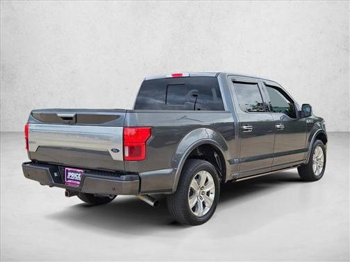 Silver/Gray 2019 Ford F-150 Platinum