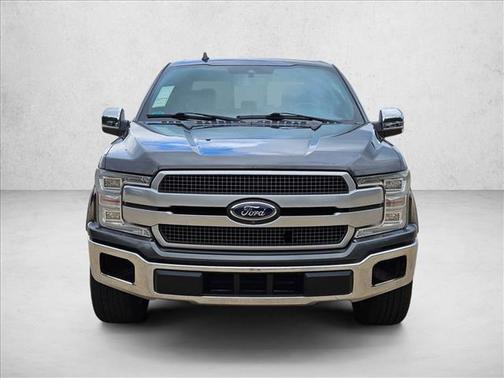 Silver/Gray 2019 Ford F-150 Platinum