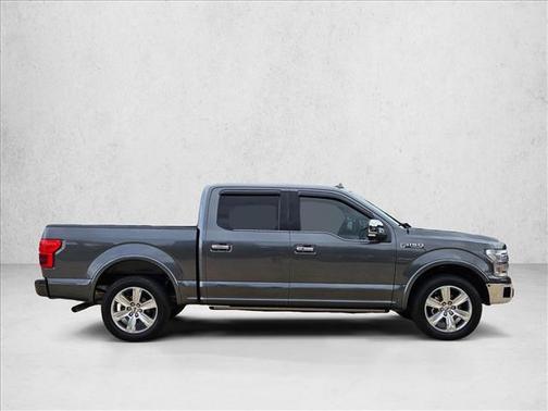 Silver/Gray 2019 Ford F-150 Platinum
