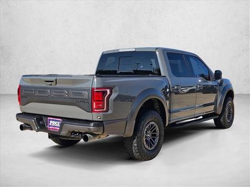Magnetic Metallic 2020 Ford F-150 Raptor