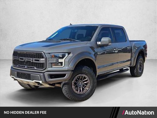 Magnetic Metallic 2020 Ford F-150 Raptor