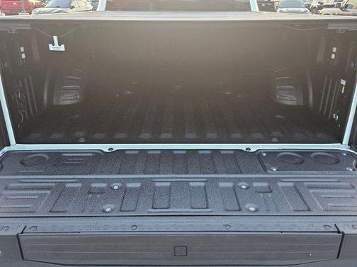 2024 Ford F-250 Platinum