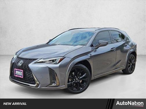 Nebula Gray Pearl 2019 Lexus UX 200 F Sport