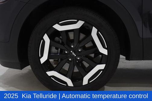 Panthera Metal 2025 Kia Telluride S