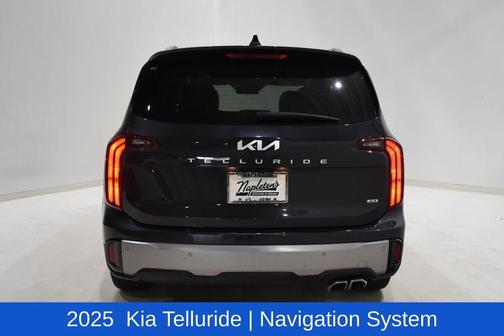 Panthera Metal 2025 Kia Telluride S