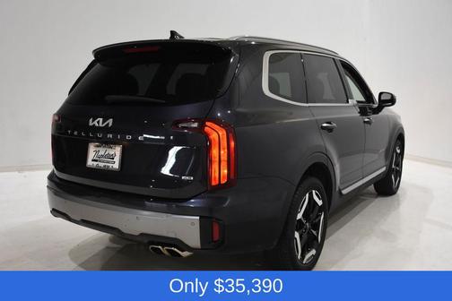 Panthera Metal 2025 Kia Telluride S