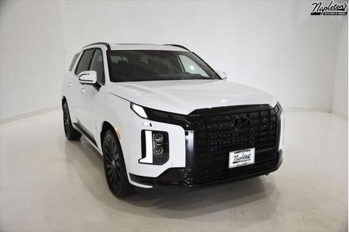2025 Hyundai PALISADE Calligraphy Night Edition
