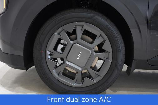 Panthera Metal 2026 Kia Carnival Hybrid SX