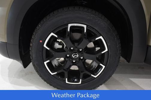 2025 Mazda CX-50 2.5 Turbo Meridian Edition