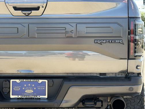 Magnetic Metallic 2018 Ford F-150 Raptor