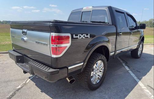 2013 Ford F-150 Platinum