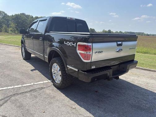 2013 Ford F-150 Platinum