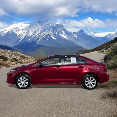 2024 Toyota Corolla Hybrid LE