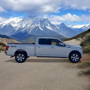 2015 Ford F-150 Platinum