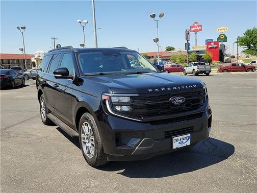 Agate Black 2025 Ford Expedition Active