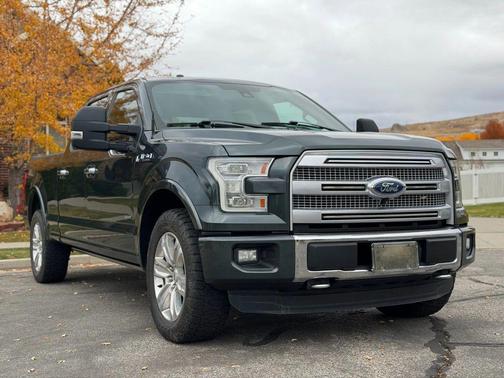 2015 Ford F-150 Platinum