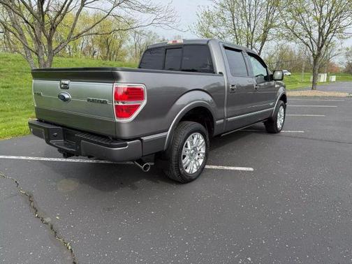 2013 Ford F-150 Platinum