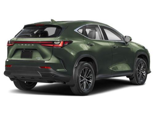2025 Lexus NX 350h Luxury