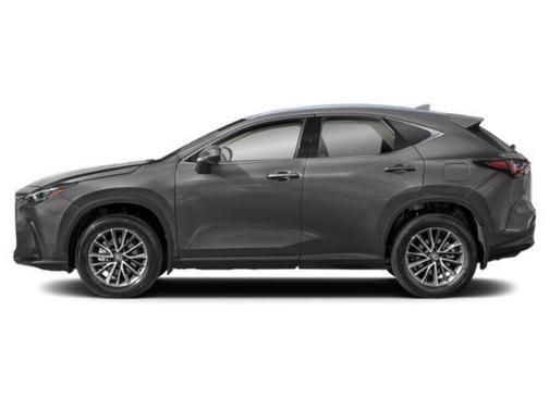 2025 Lexus NX 350 350 Base