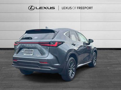 Cloudburst Gray 2023 Lexus NX 350 Premium