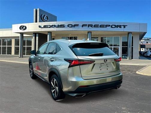 2019 Lexus NX 300 Base