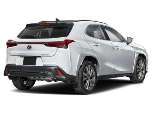 2025 Lexus UX 300h F SPORT Design