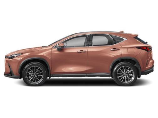 2025 Lexus NX 350h Luxury