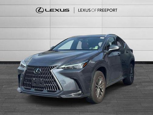 Cloudburst Gray 2023 Lexus NX 350 Premium