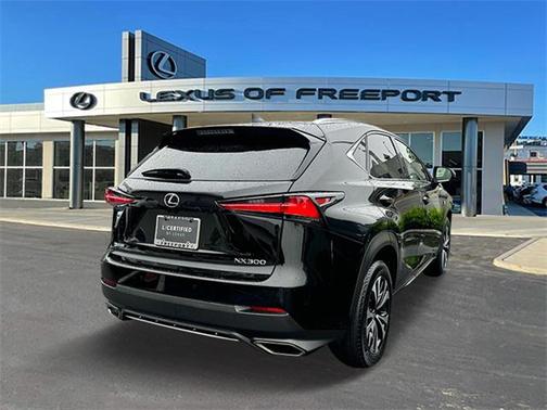 2021 Lexus NX 300 F Sport