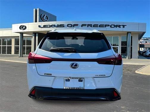 2019 Lexus UX 250h F Sport