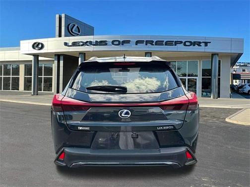 2020 Lexus UX 250h F Sport