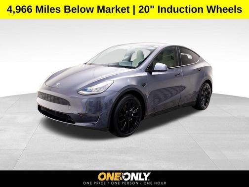 2020 Tesla Model Y Long Range Dual Motor All-Wheel Drive