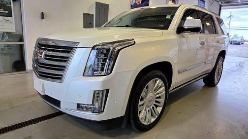 Crystal White Tricoat 2019 Cadillac Escalade Platinum