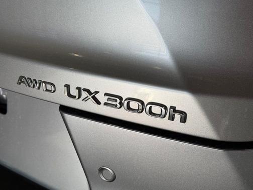 2025 Lexus UX 300h Premium