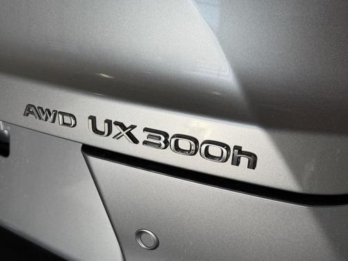 2025 Lexus UX 300h Premium