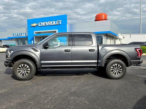 Magnetic 2020 Ford F-150 Raptor