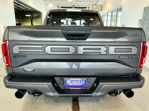 Magnetic 2020 Ford F-150 Raptor