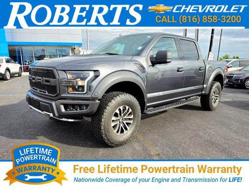 Magnetic 2020 Ford F-150 Raptor