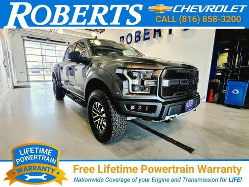 Magnetic 2020 Ford F-150 Raptor